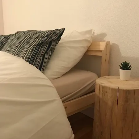 Duplex En Plein Centre Du Puy 公寓 *